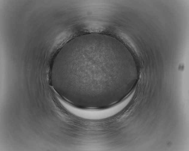 X0000094180501200710261134