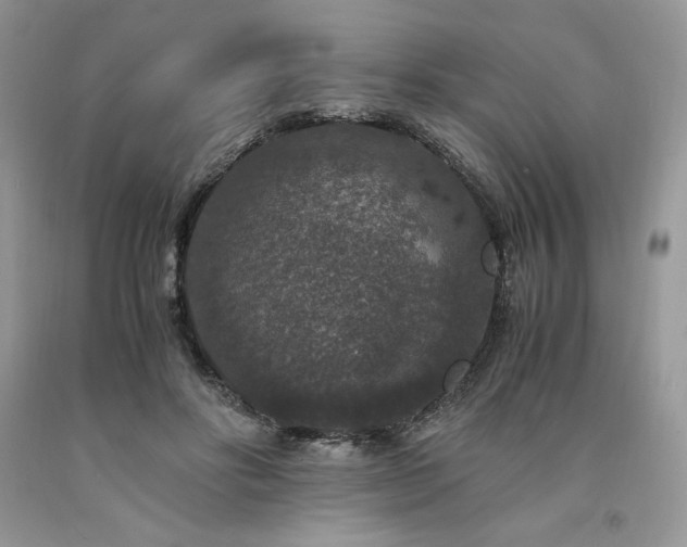 X0000094180502200710261134