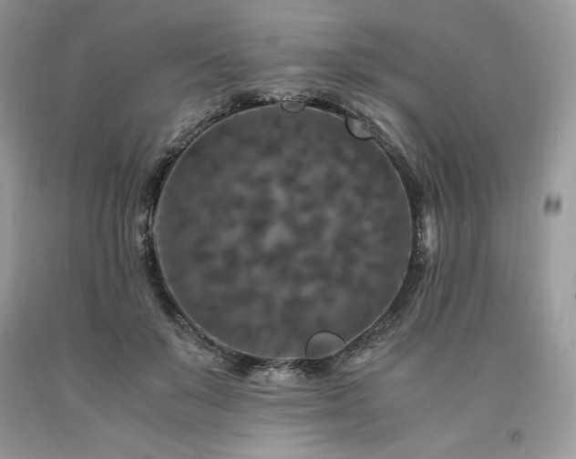 X0000094180503200710261134