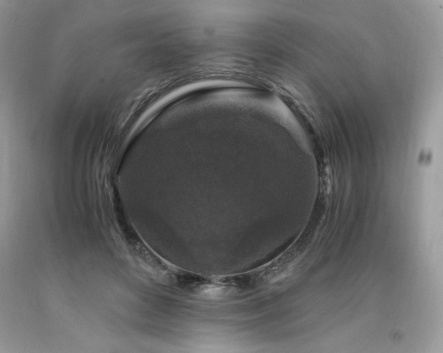 X0000094180504200710261134