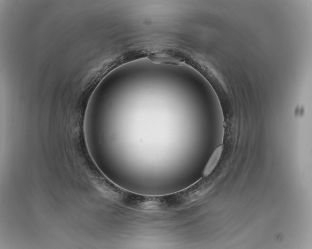 X0000094180505200710261134