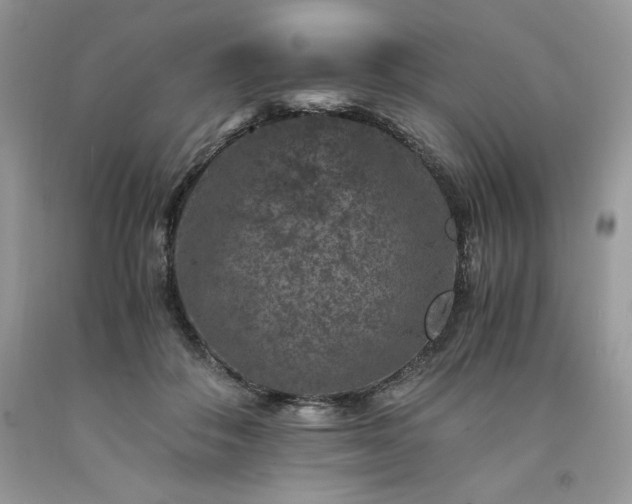 X0000094180506200710261134
