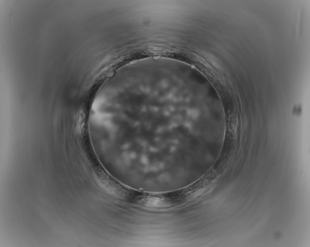 X0000094180507200710261134