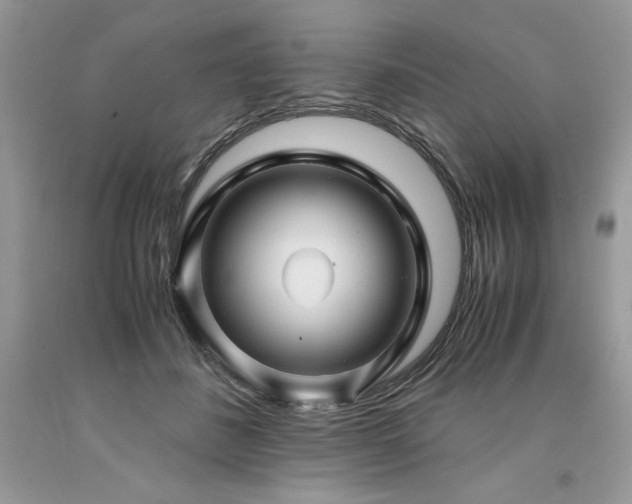 X0000094180508200710261134