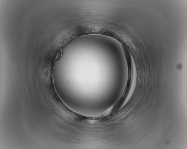 X0000094180509200710261134