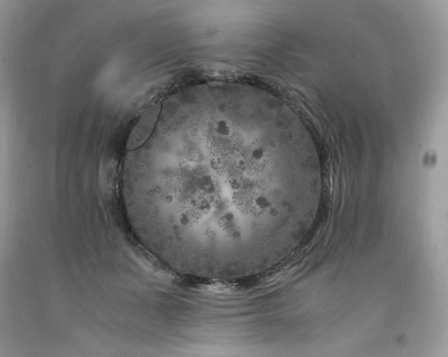 X0000094180511200710261134