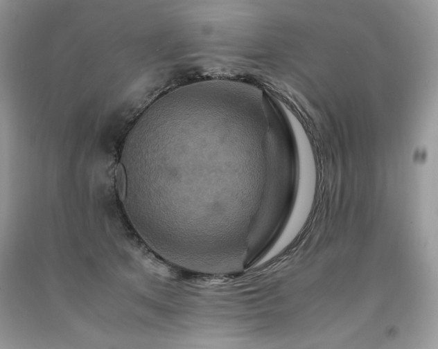 X0000094180513200710261134