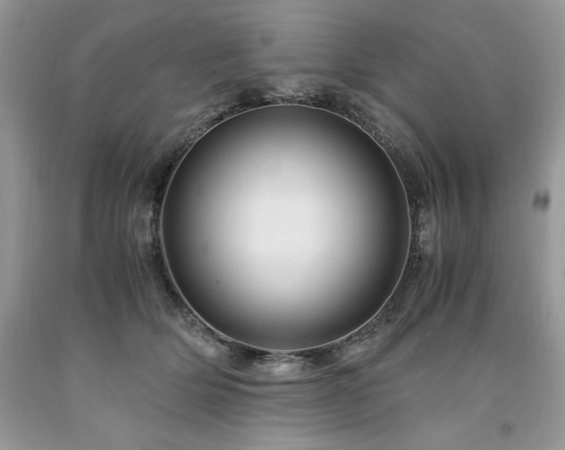X0000094180514200710261134