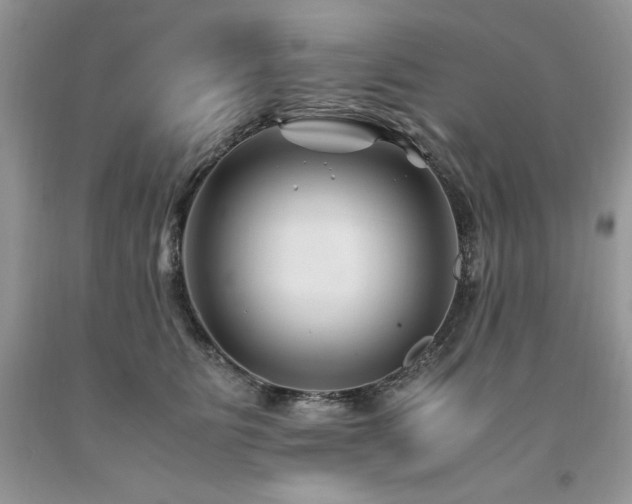 X0000094180515200710261134