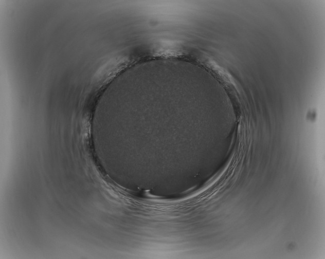 X0000094180517200710261134