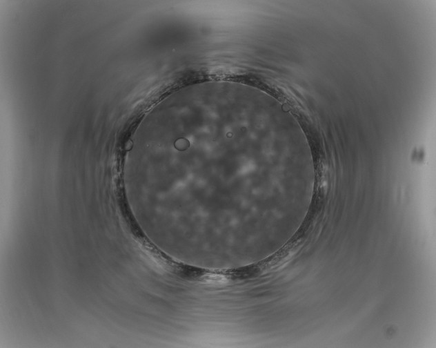 X0000094180519200710261134