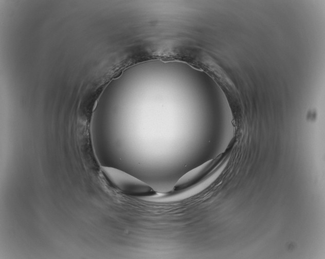 X0000094180521200710261134
