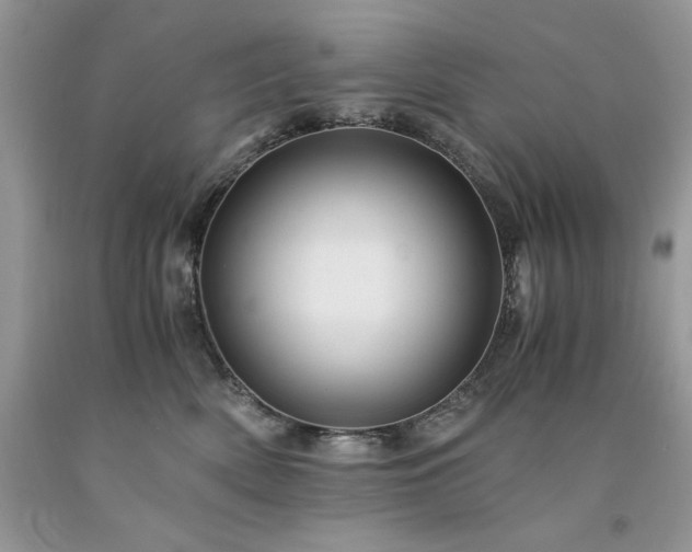 X0000094180522200710261134