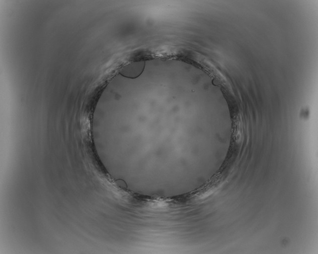X0000094180523200710261134