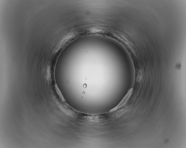 X0000094180524200710261134