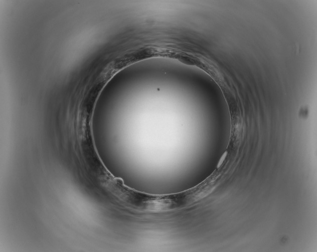 X0000094180525200710261134