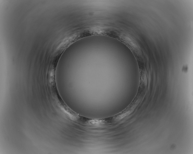 X0000094180526200710261134