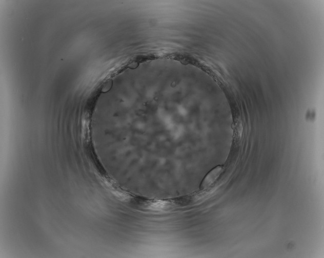X0000094180527200710261134