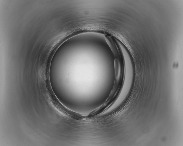 X0000094180530200710261133