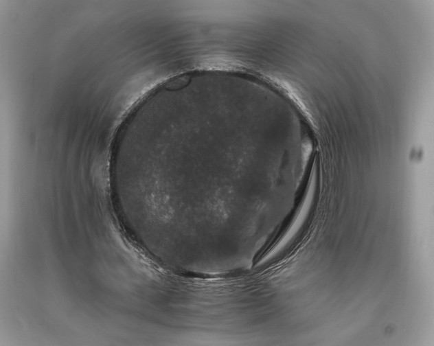 X0000094180531200710261133
