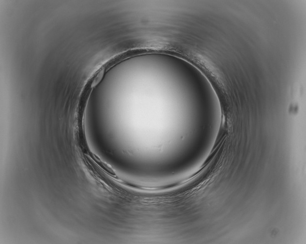 X0000094180532200710261133