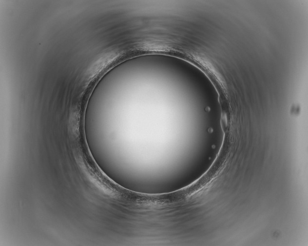 X0000094180533200710261133