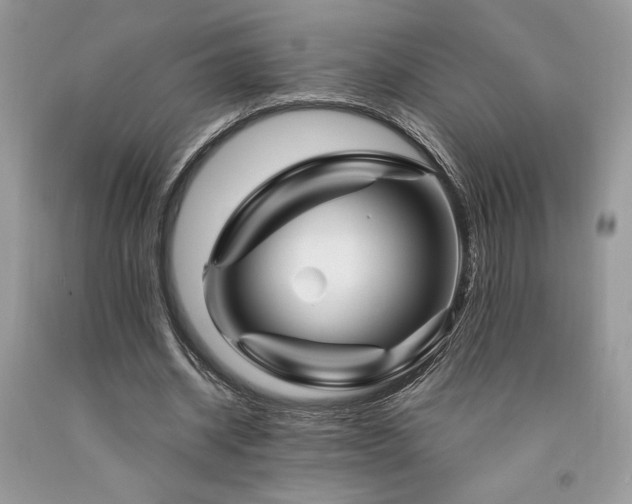X0000094180534200710261133