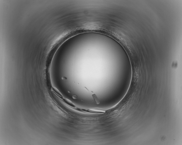 X0000094180535200710261133