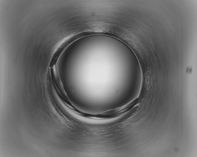 X0000094180536200710261133