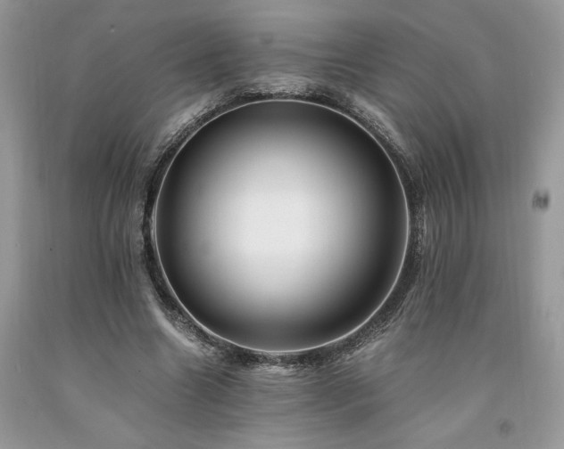 X0000094180538200710261133