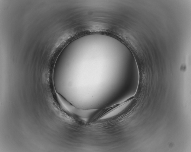 X0000094180539200710261133