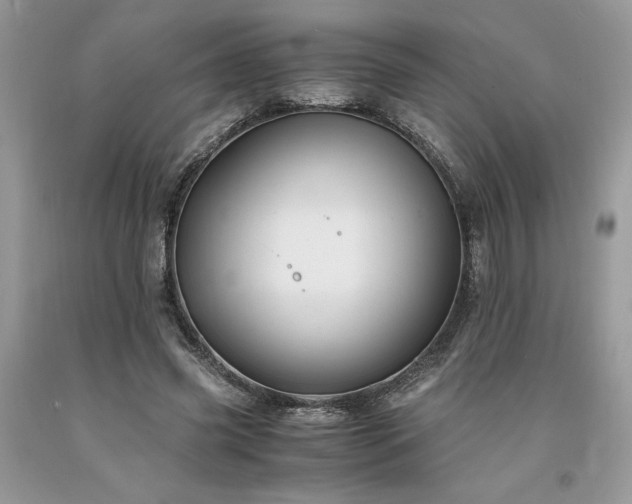 X0000094180541200710261134