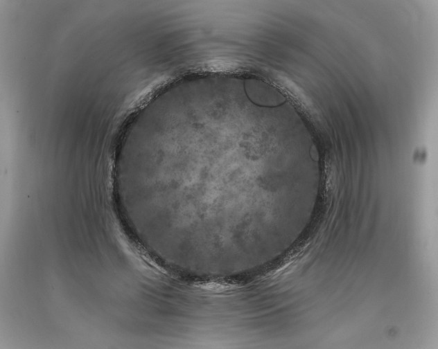 X0000094180542200710261134