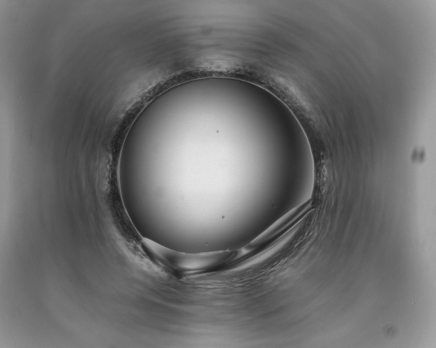 X0000094180544200710261134