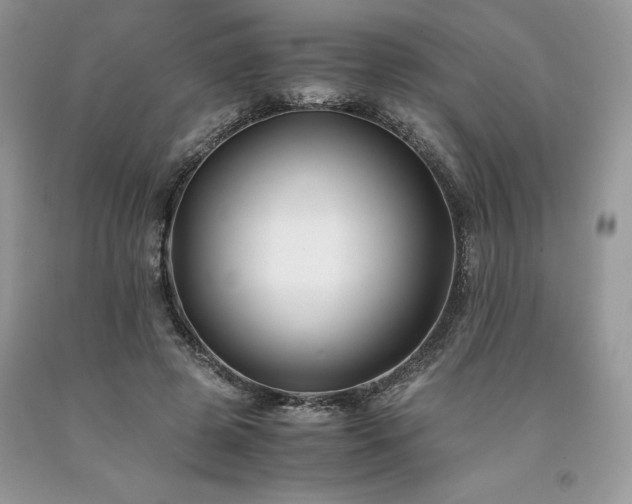 X0000094180545200710261134