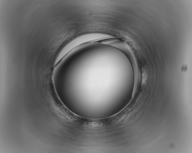 X0000094180546200710261134
