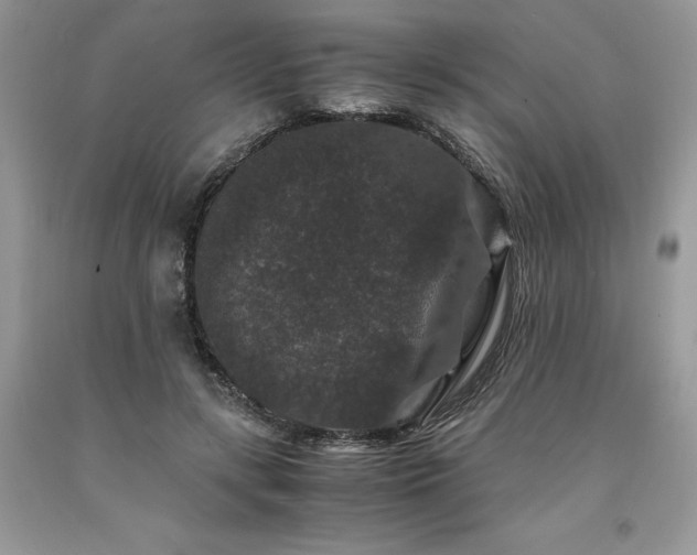 X0000094180547200710261134
