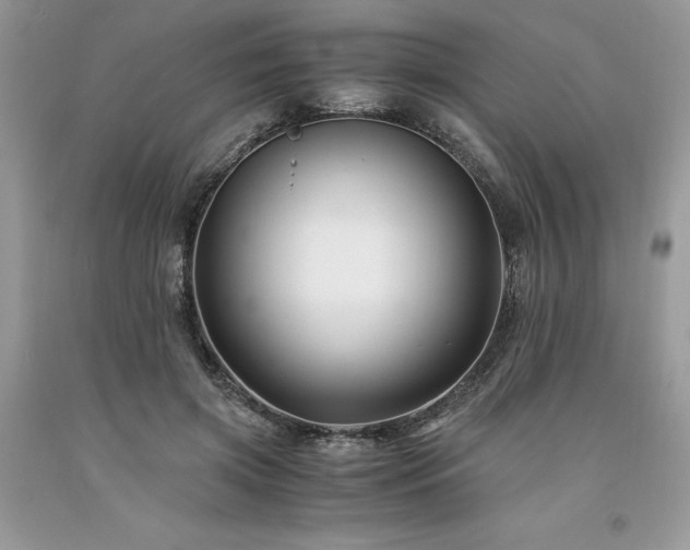 X0000094180549200710261134