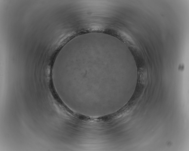 X0000094180550200710261134