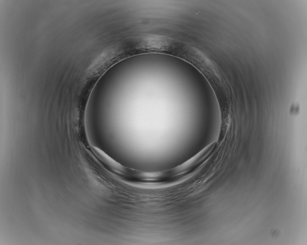 X0000094180552200710261134