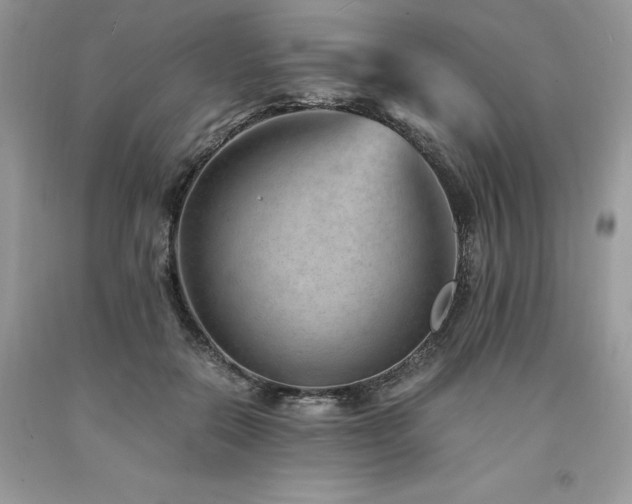 X0000094180554200710261134