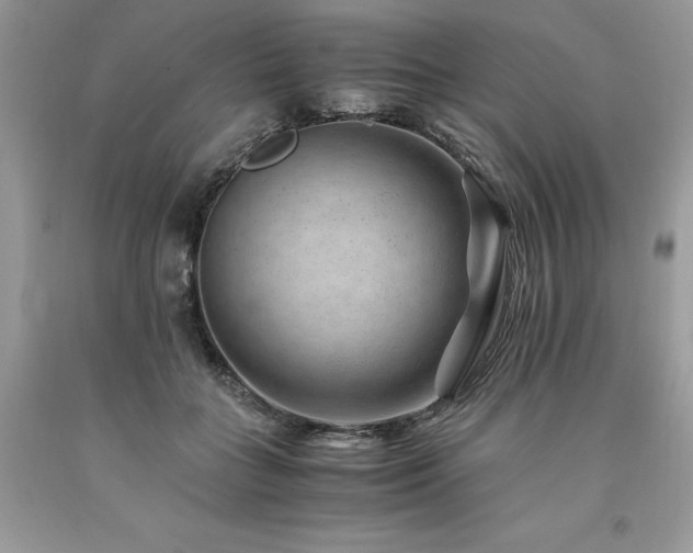 X0000094180555200710261134