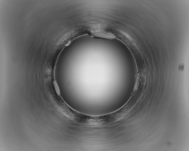 X0000094180556200710261134