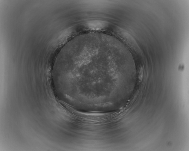 X0000094180559200710261134