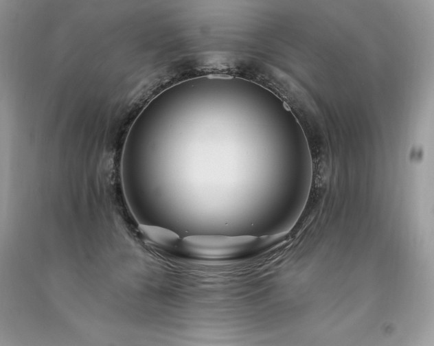 X0000094180560200710261134