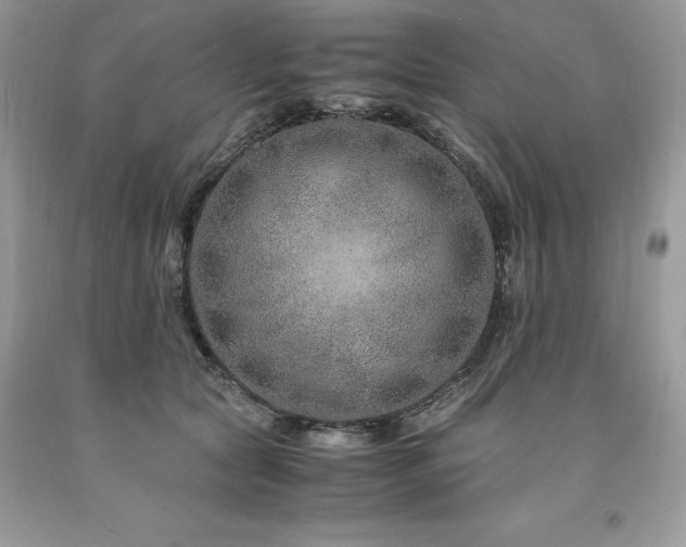X0000094180561200710261134