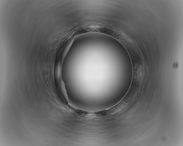 X0000094180562200710261134