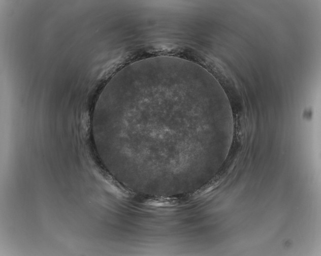 X0000094180563200710261134