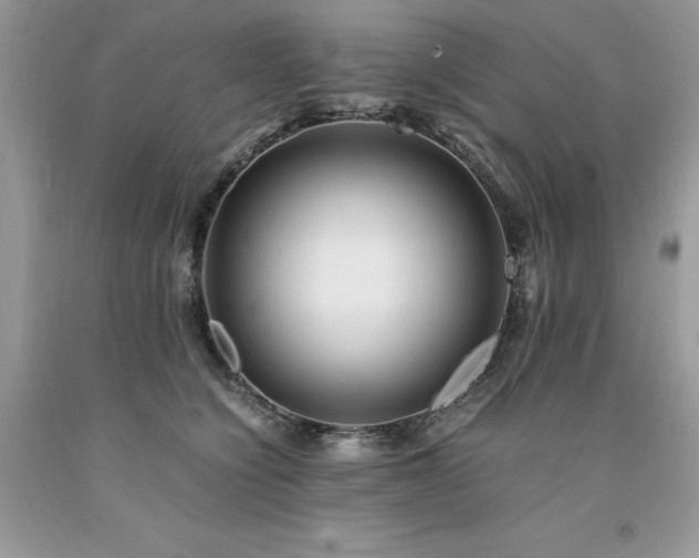 X0000094180564200710261134