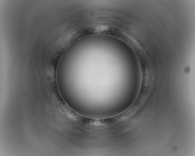X0000094180565200710261134